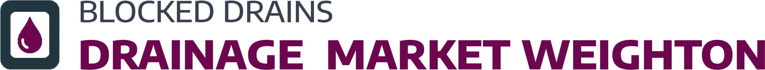 website logo